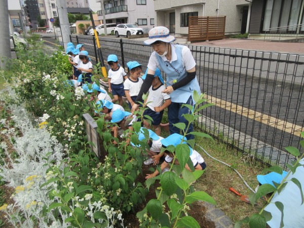 栗田保育園 信学会